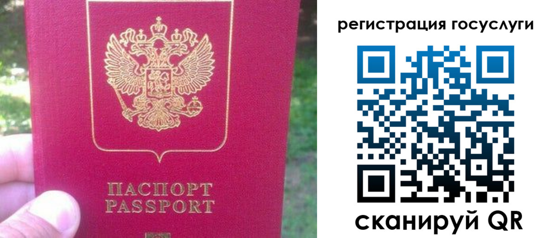 временная прописка в Лузе